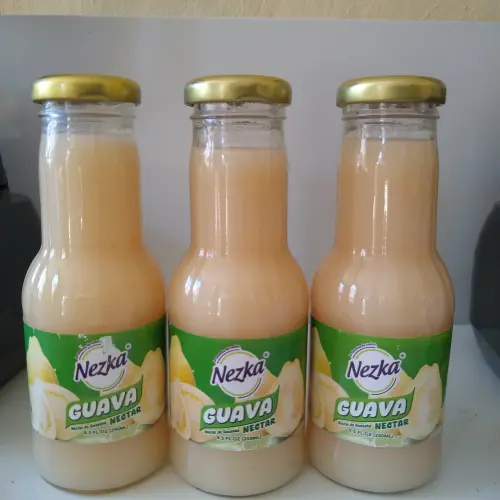NECTAR DE MANGO X 250ML's photo #1